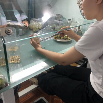 Khóa học nuôi cấy mô